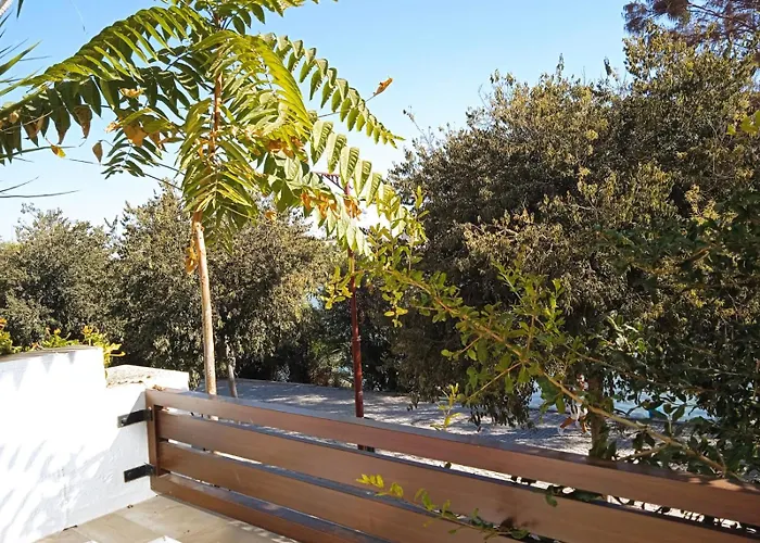Terraza De Triana
