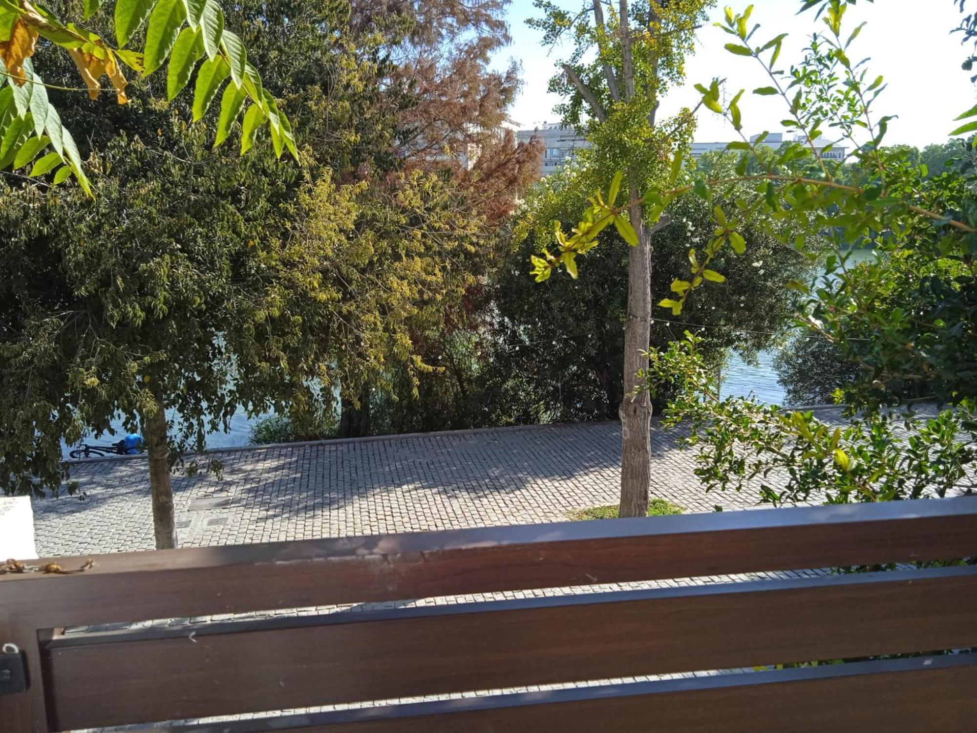 Apartamento Terraza De Triana *